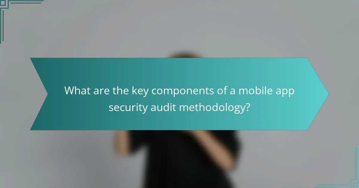 What are the key components of a mobile app security audit methodology?