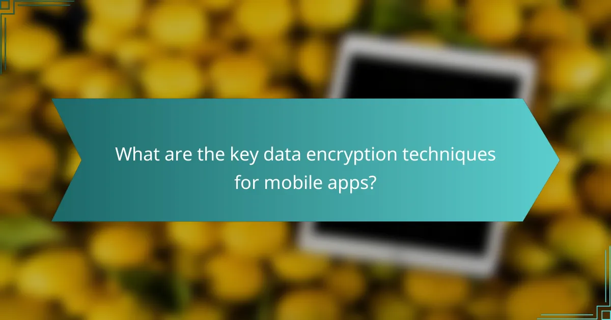 What are the key data encryption techniques for mobile apps?